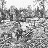 Image of rough land being cleared
